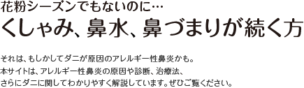 花粉シーズンでもないのに…くしゃみ、鼻水、鼻づまりが続く方